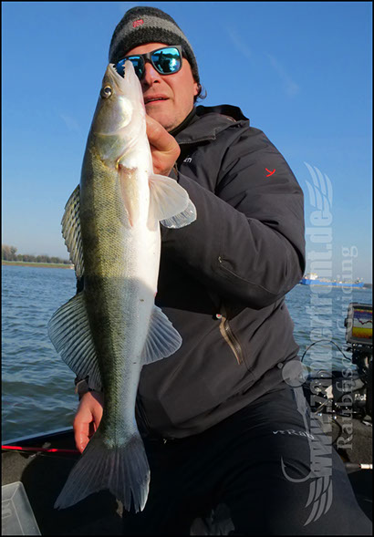 Daiwa tournament 8 braid evo