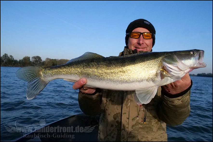 Daiwa tournament 8 braid evo