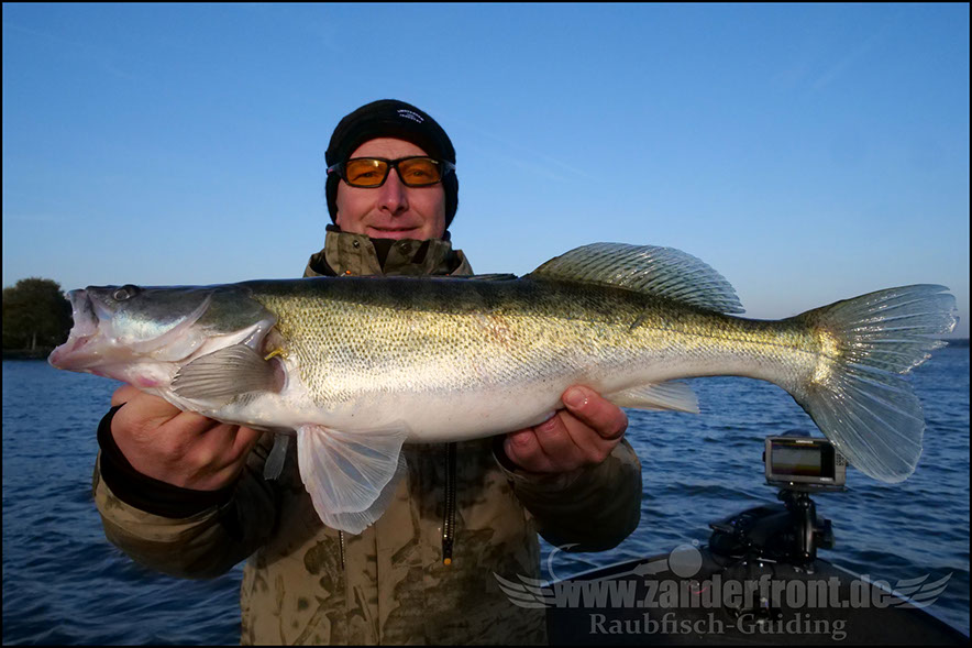 Daiwa tournament 8 braid evo