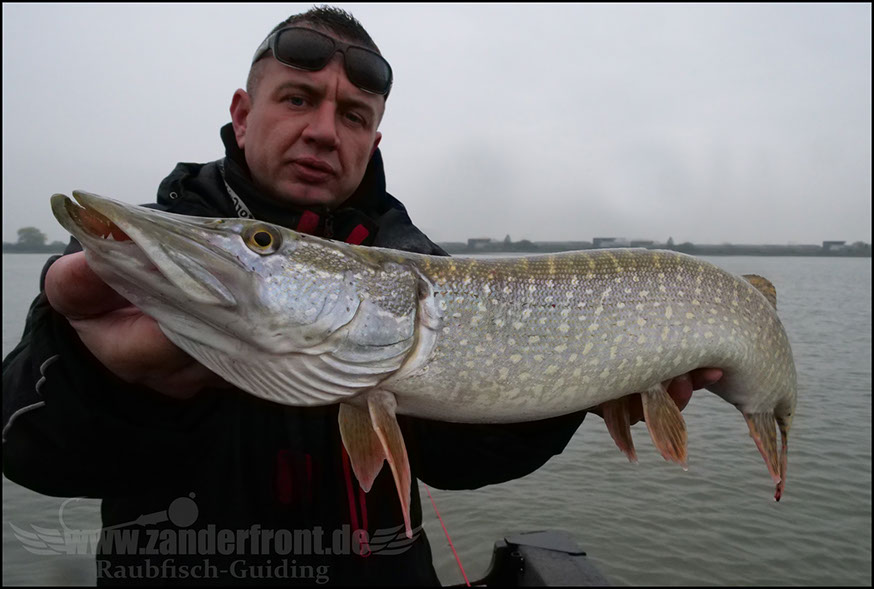 Daiwa tournament 8 braid evo