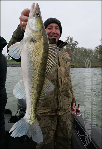 Daiwa tournament 8 braid evo