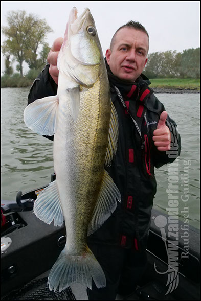 Daiwa tournament 8 braid evo