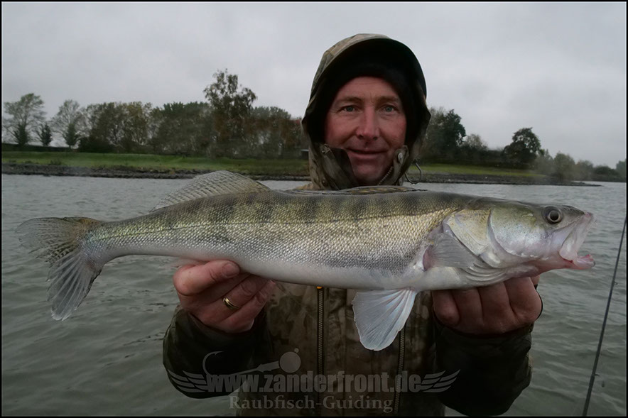 Daiwa tournament 8 braid evo