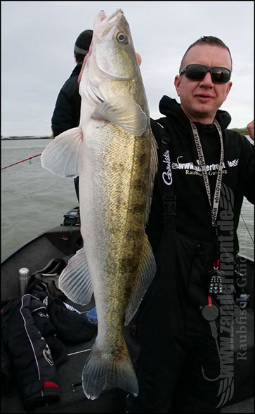 Daiwa tournament 8 braid evo