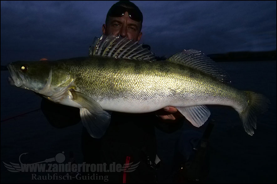 Nachts auf Zander