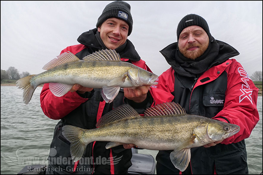 zander guiding holland
