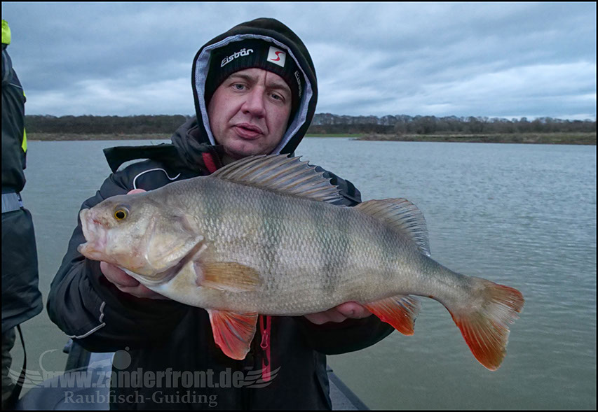 vertikal angeln auf zander