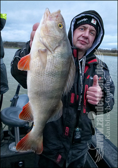 vertikal angeln auf zander