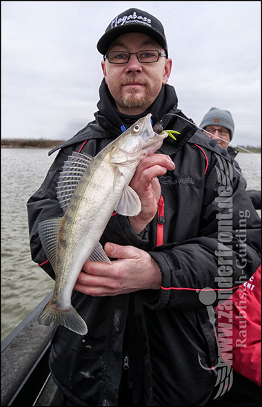 vertikal angeln auf zander