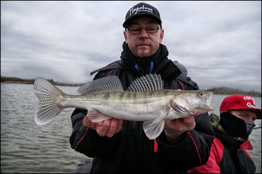 vertikal angeln auf zander