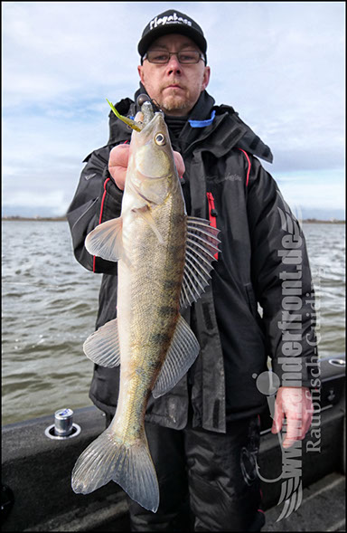 vertikal angeln auf zander