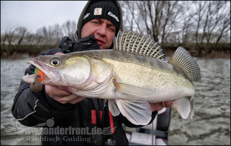 vertikal angeln auf zander