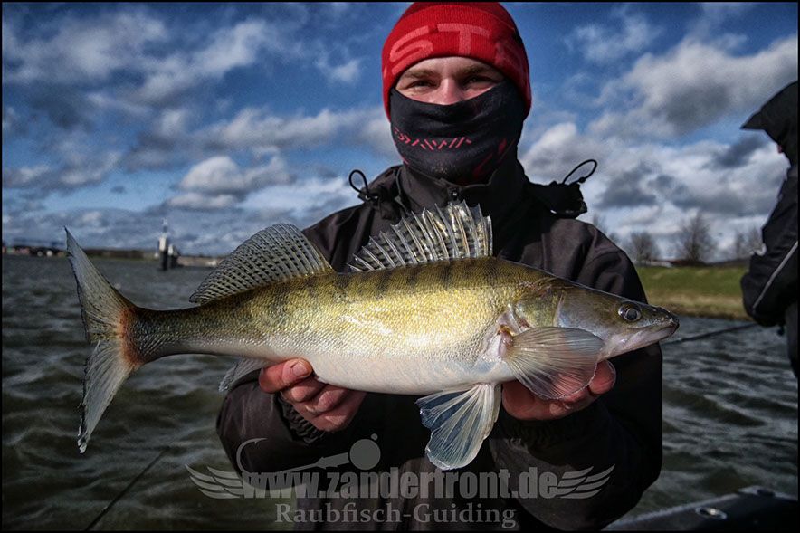 vertikal angeln auf zander
