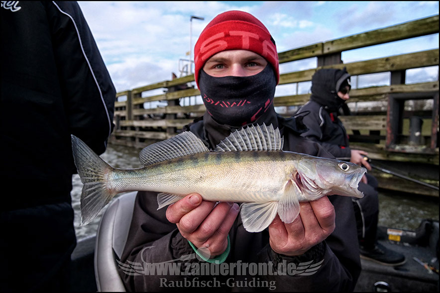 vertikal angeln auf zander