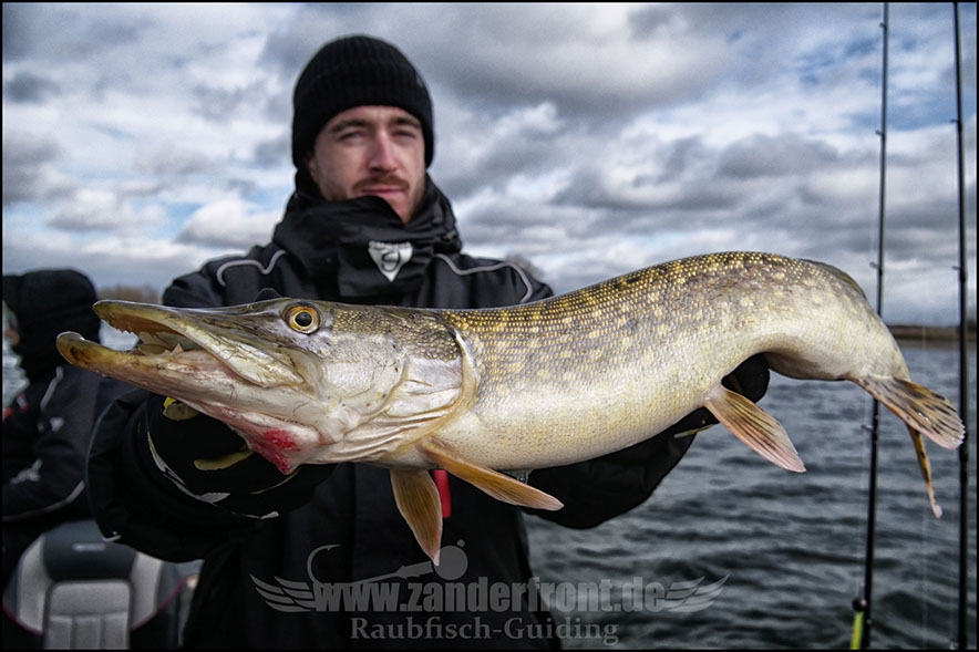 vertikal angeln auf zander