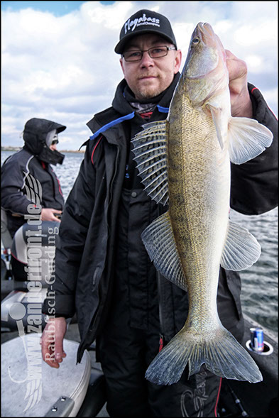 vertikal angeln auf zander