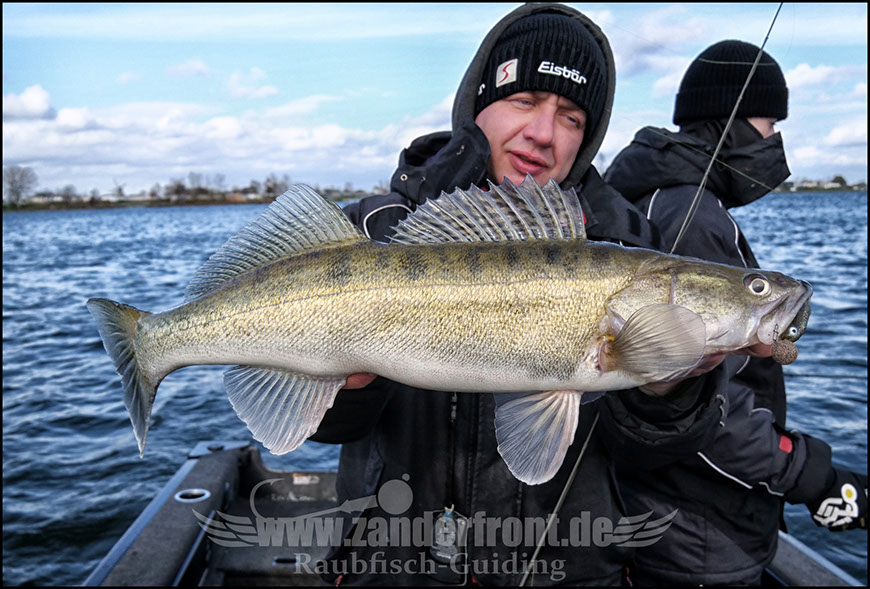 vertikal angeln auf zander