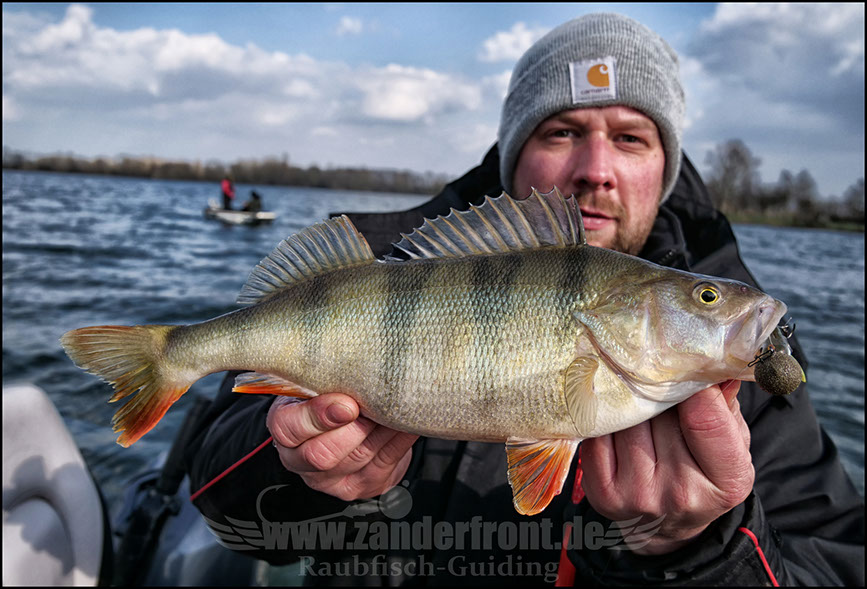 vertikal angeln auf zander