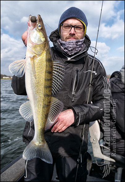 vertikal angeln auf zander