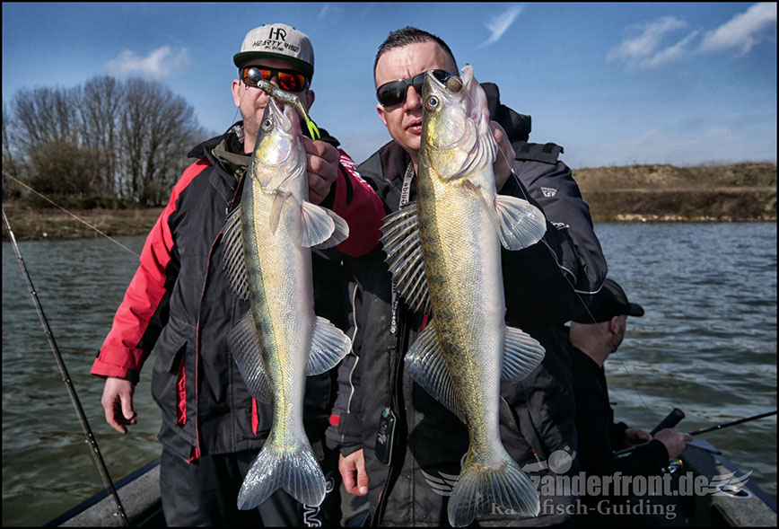 vertikal angeln auf zander