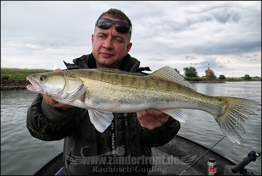 vertikal angeln auf zander