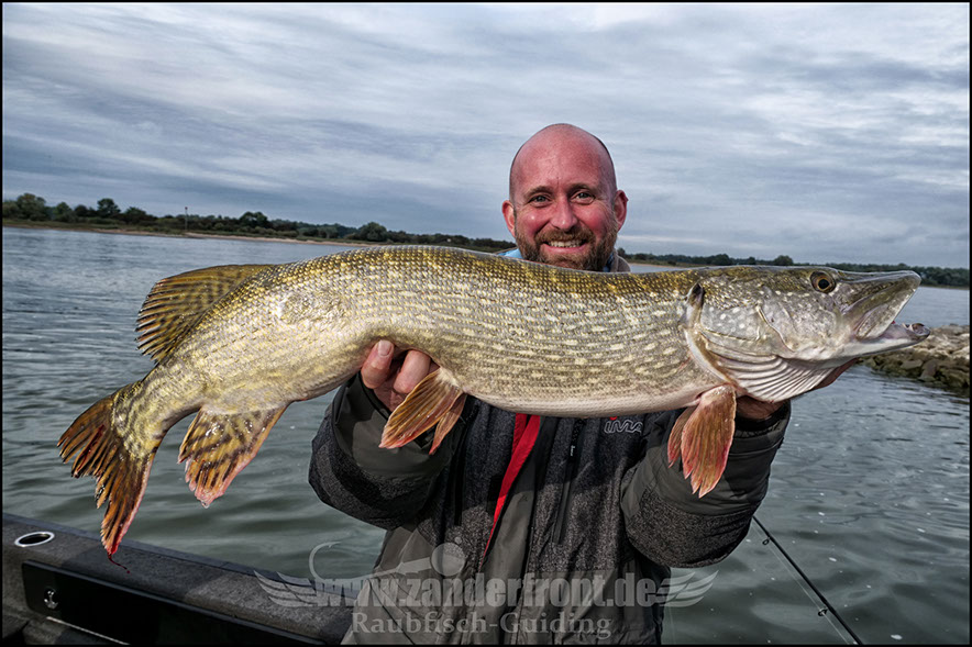 raubfischguiding