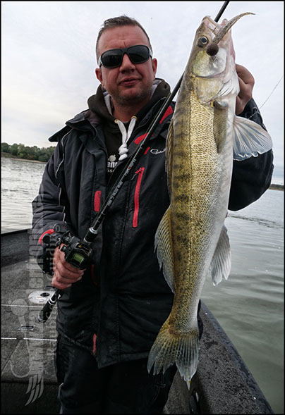 Bullseye skip whip 2.0