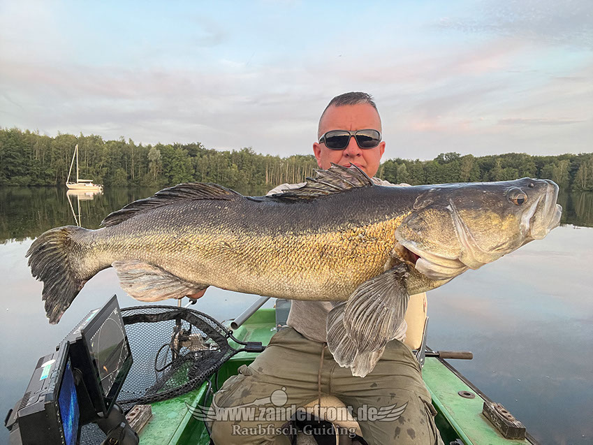 zander im hafen