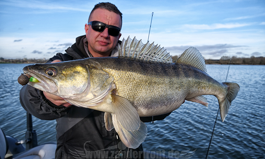 zander auf wobbler